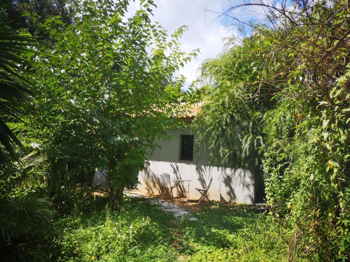 Villa Griseor Porto-Vecchio  Exteriör bild