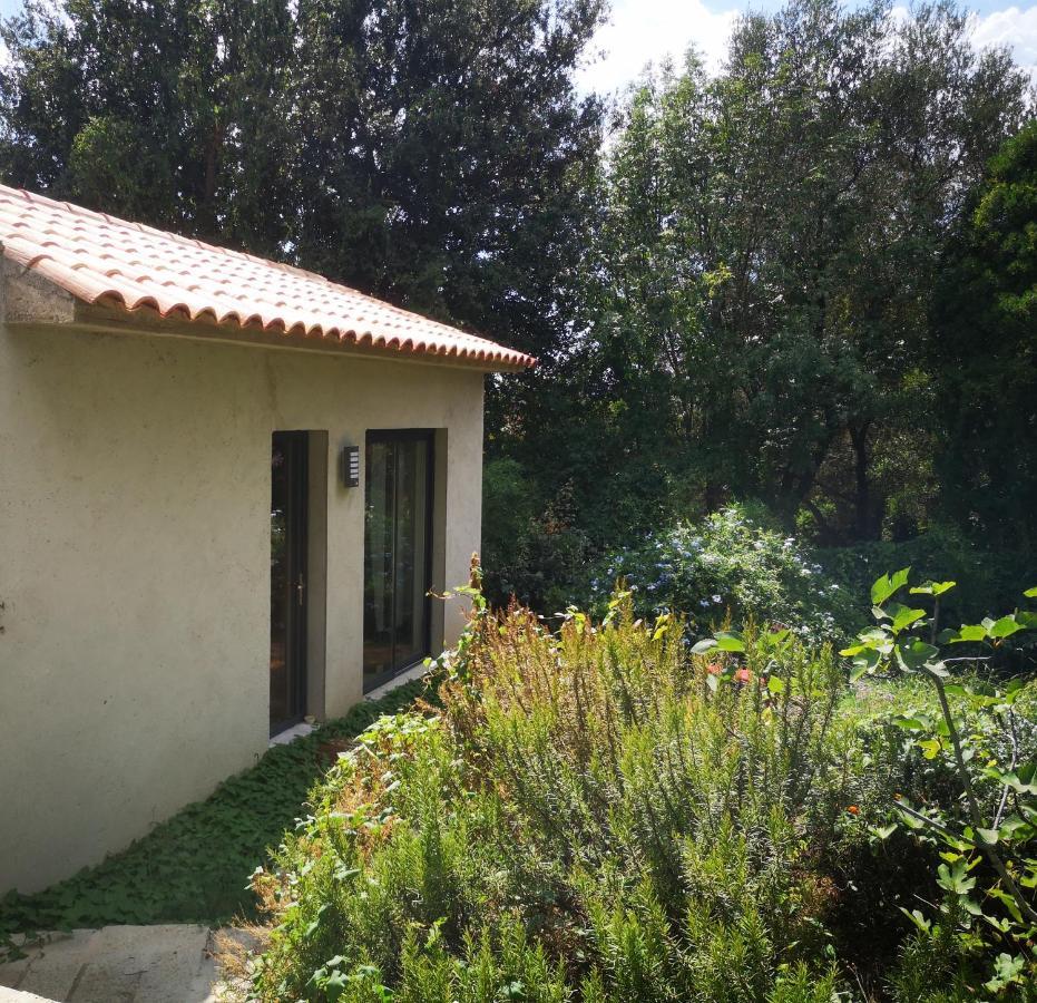 Villa Griseor Porto-Vecchio  Exteriör bild